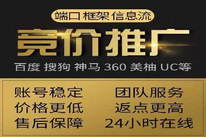 百度竞价SEM案例：揭秘高效广告投放技巧